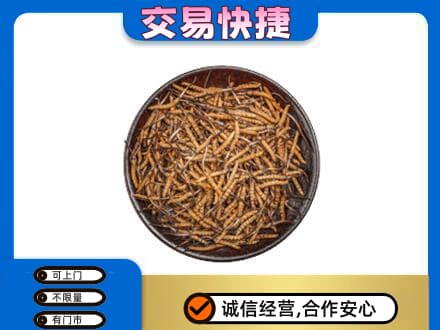 永登县高价回收散虫草